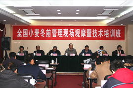 技术推广服务中心 驱动创新与发展的关键桥梁